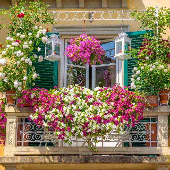 Balcony oasis dorisleslieblau